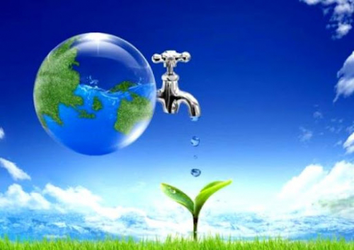 Phát động Tuần lễ Quốc gia Nước sạch và vệ sinh môi trường năm 2025 trên toàn tỉnh
